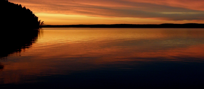 ��������� �������������