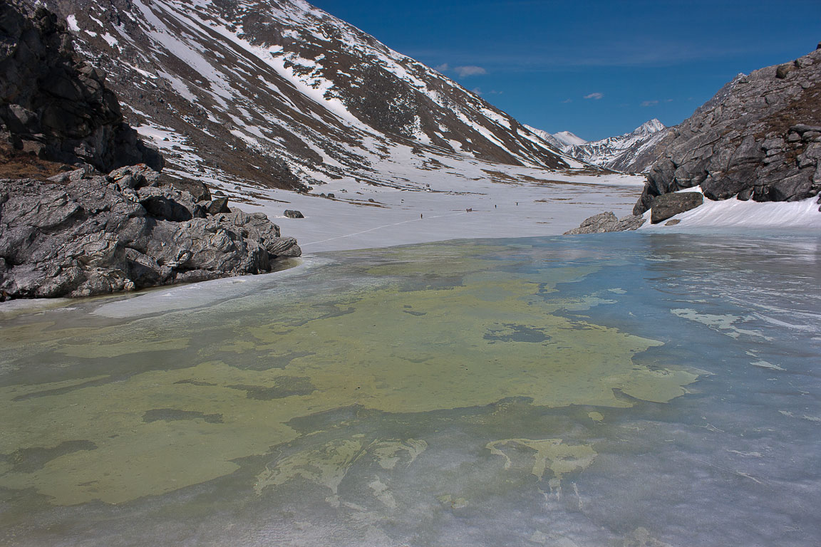 �� ������