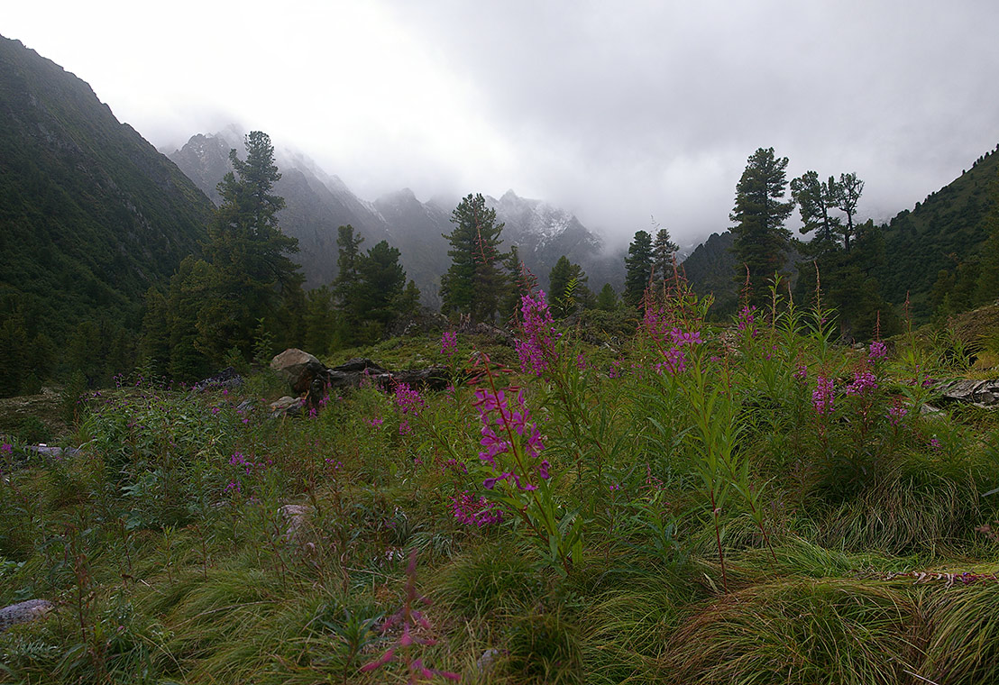 ������ ����-���