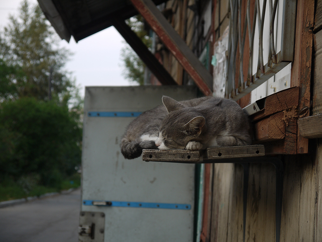 ��������