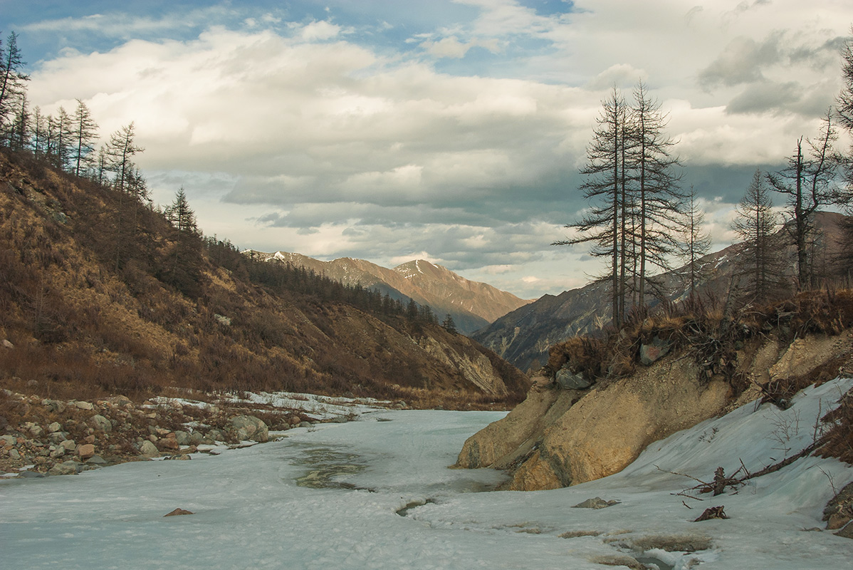 ����� �� ����� ������