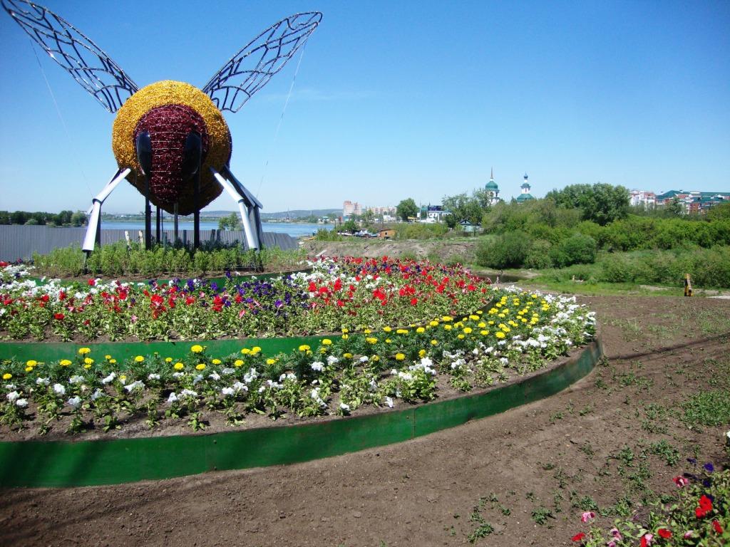 ���� ������