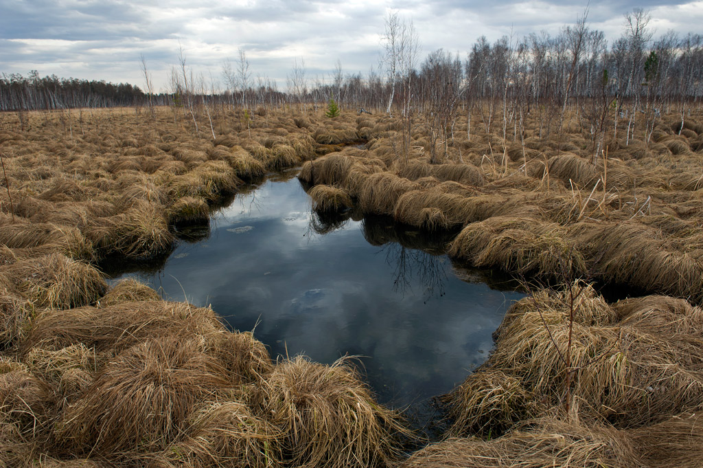 ������� ����