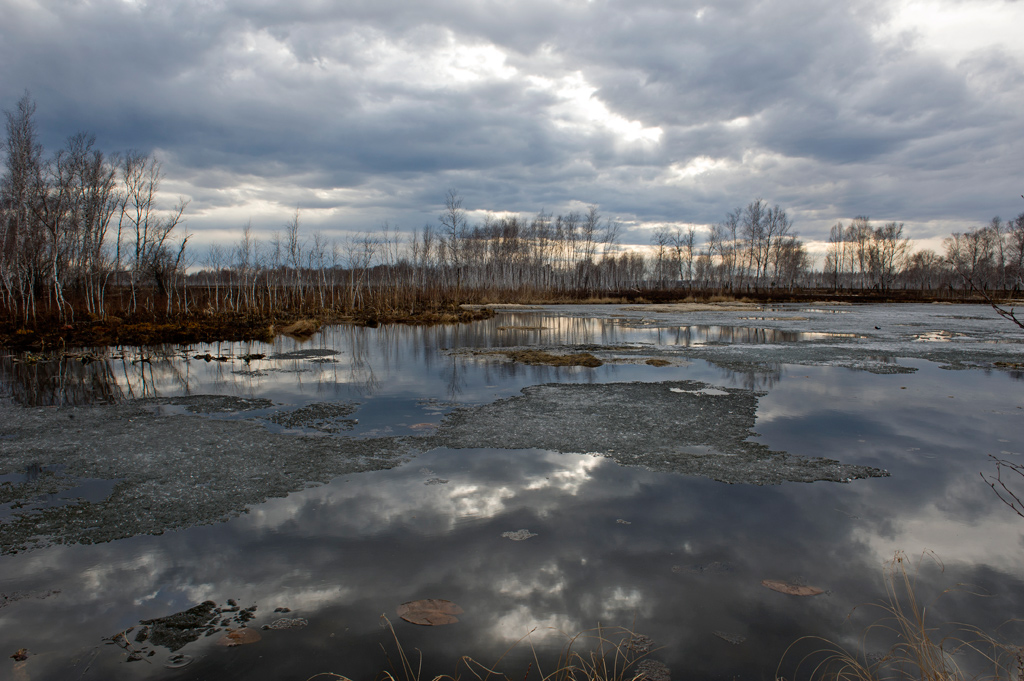 � ��� �� �����