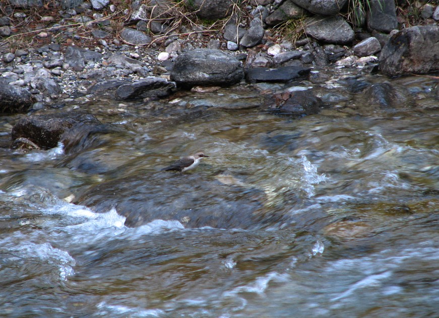 ��������� �� ��������