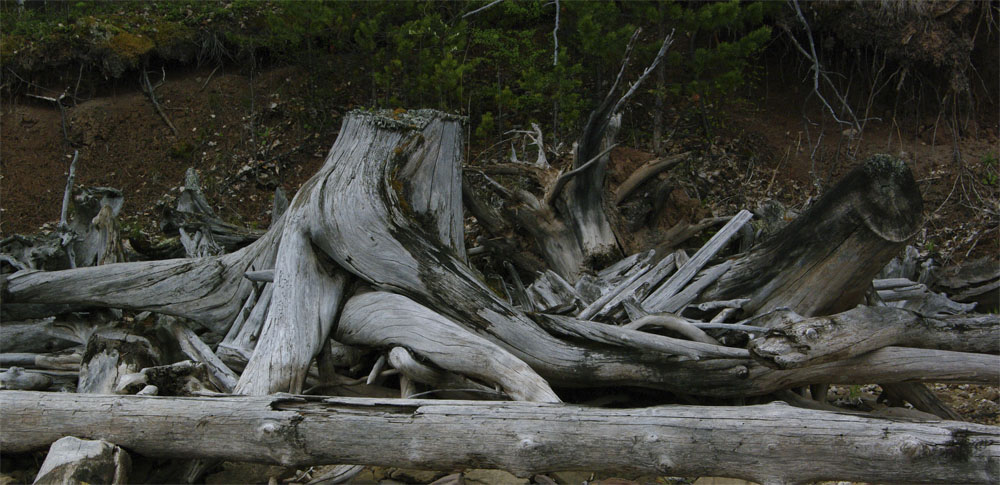 �� ������ ����� �������