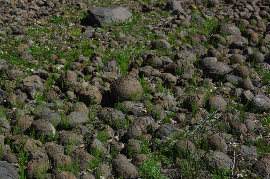 "����" ��������� �������