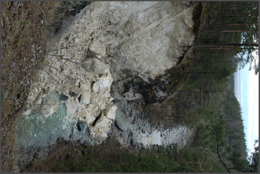    2005