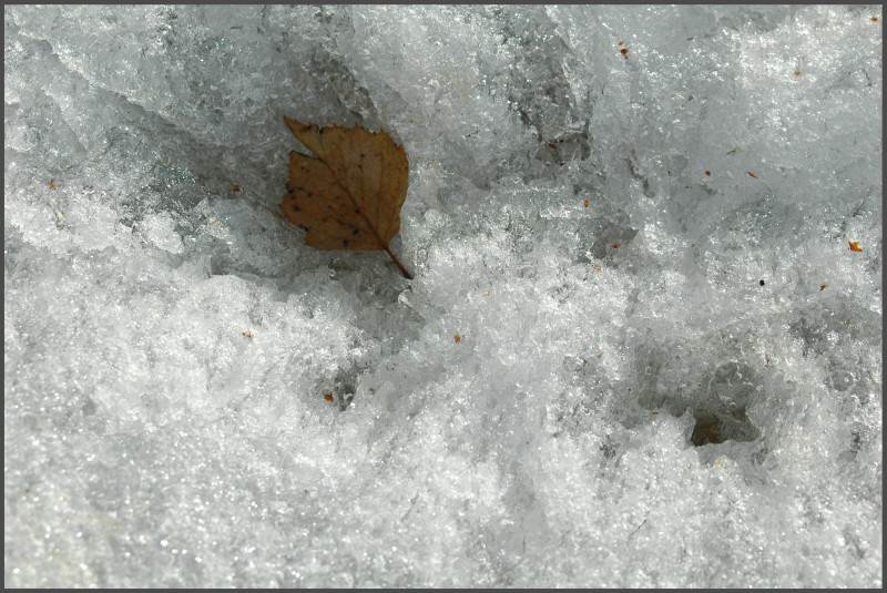 �������� �����