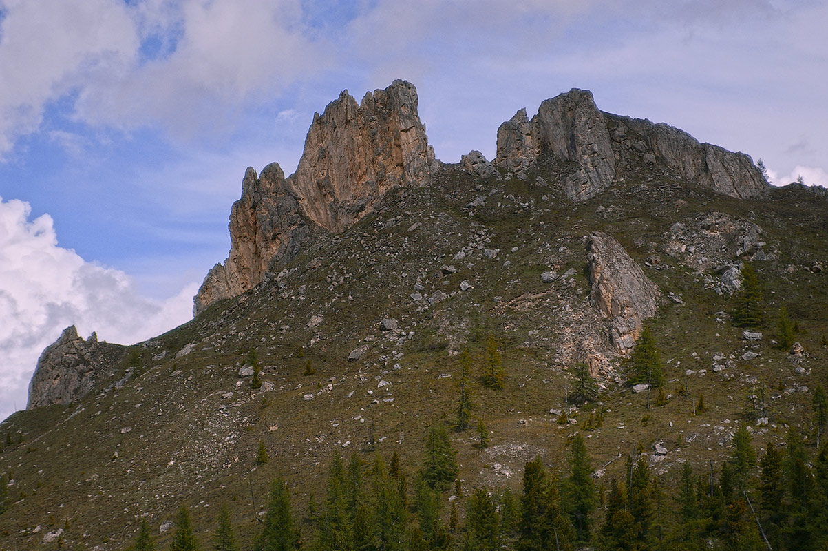 �������� ��������