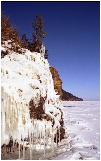   2005