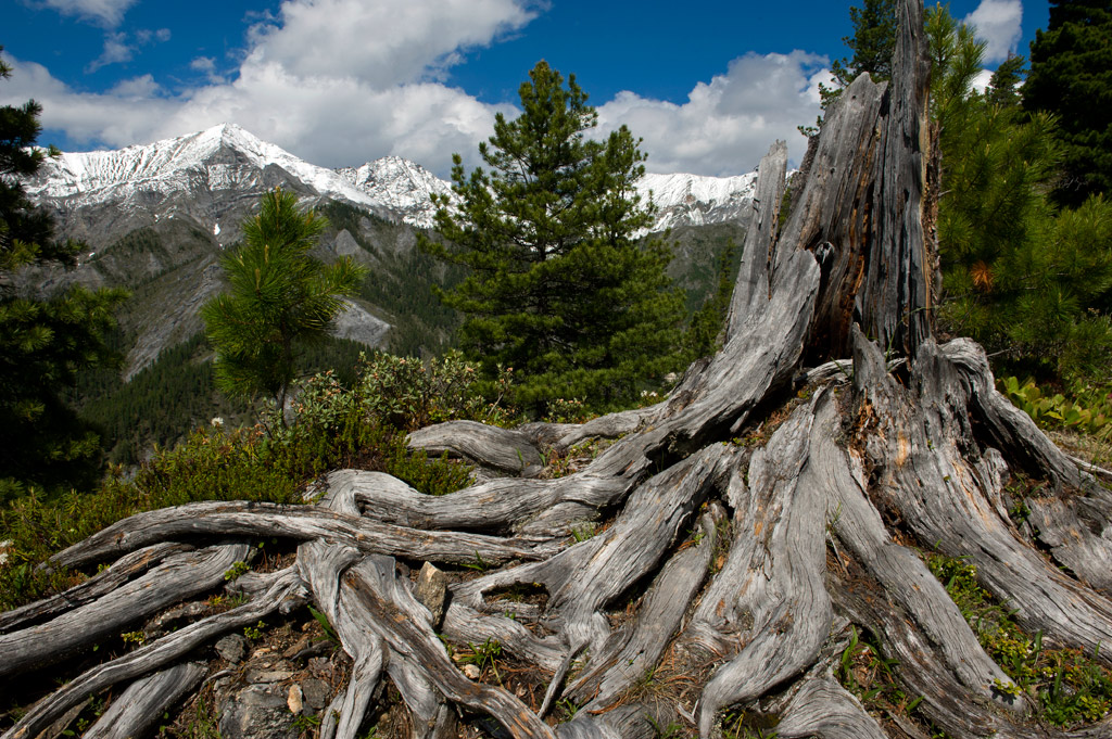 ���������� ������ � ����� ����