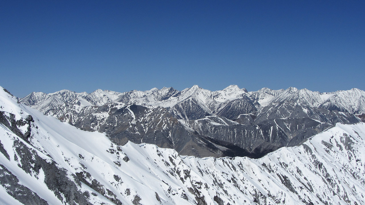 ������ ������