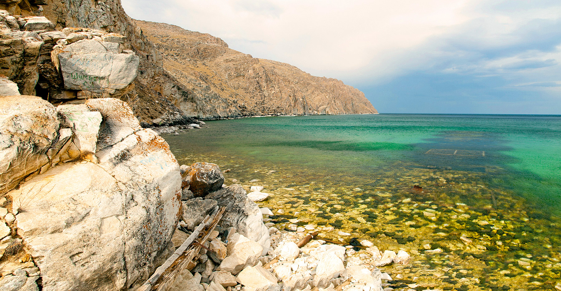 ������ ����