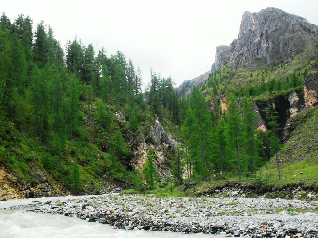 ���-��� ���� ����� ����� ������ � ������