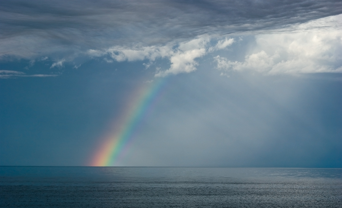 �������� ����...