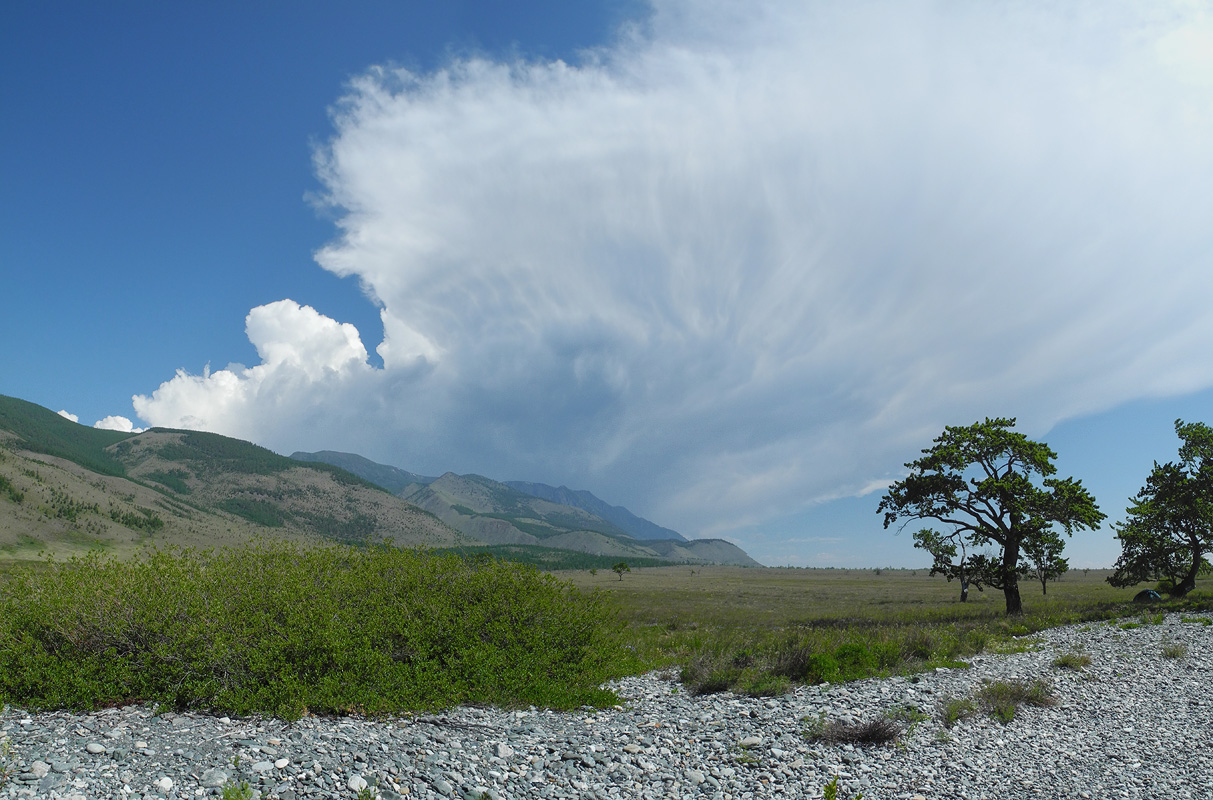 "�-�-� - �����!"