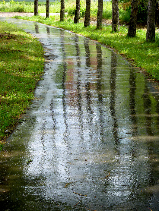 ���������� �������