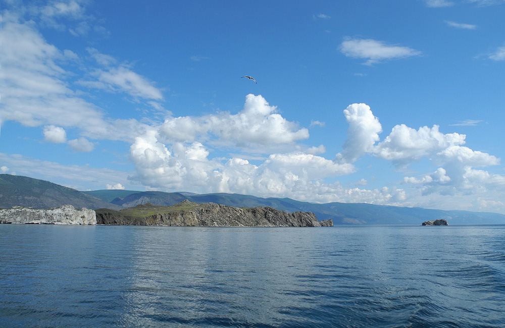 ������ ���������