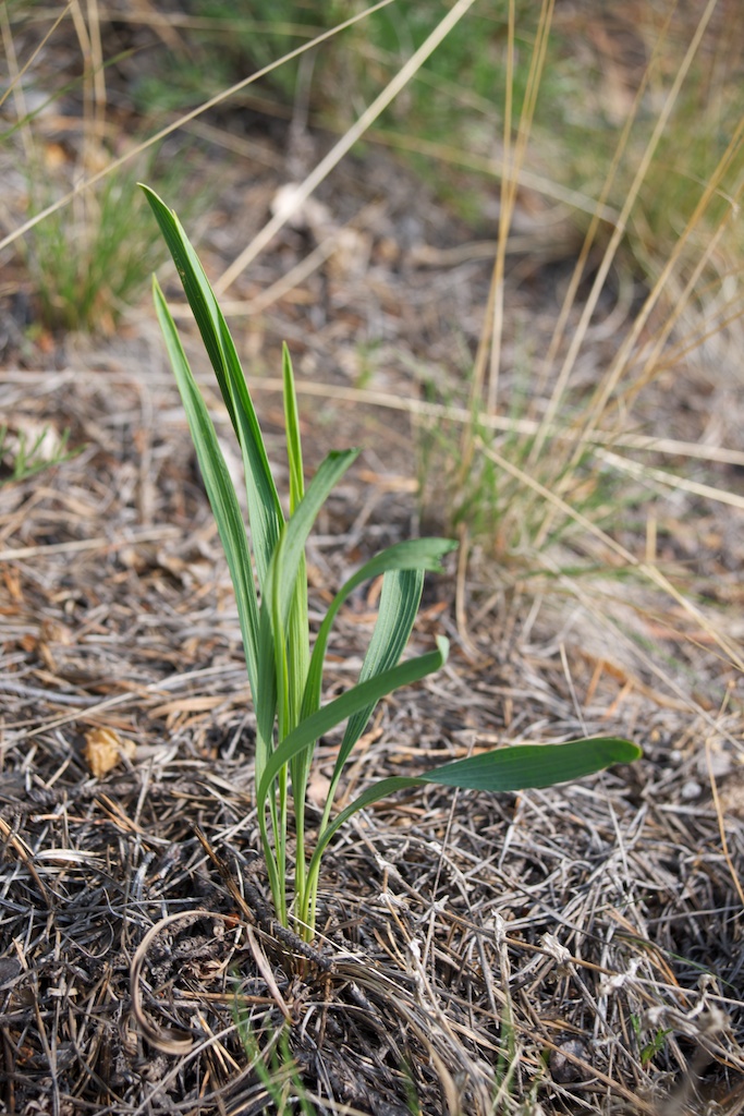 �� ��������� ��� ��������. ������ ����� ���������� ������ ������� ������ �����.