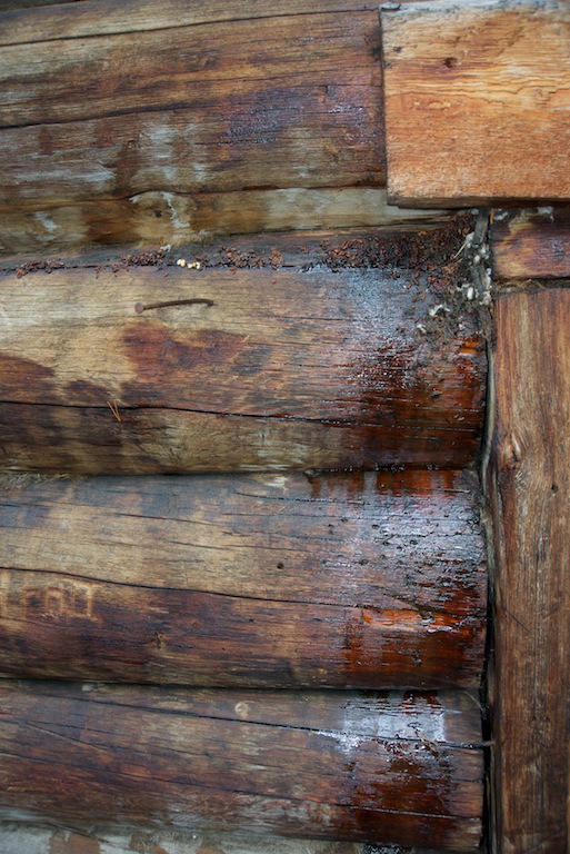 ��� ����� ���