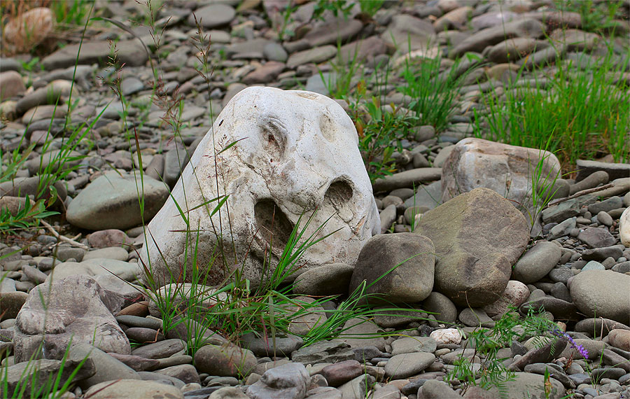 ������ �������...