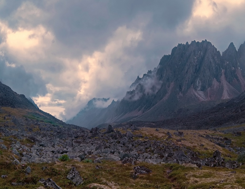 ����� �����