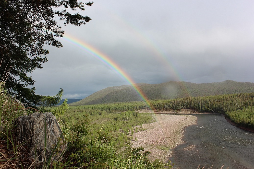 ������� ���������