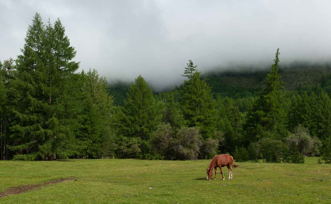 ������ � �������...