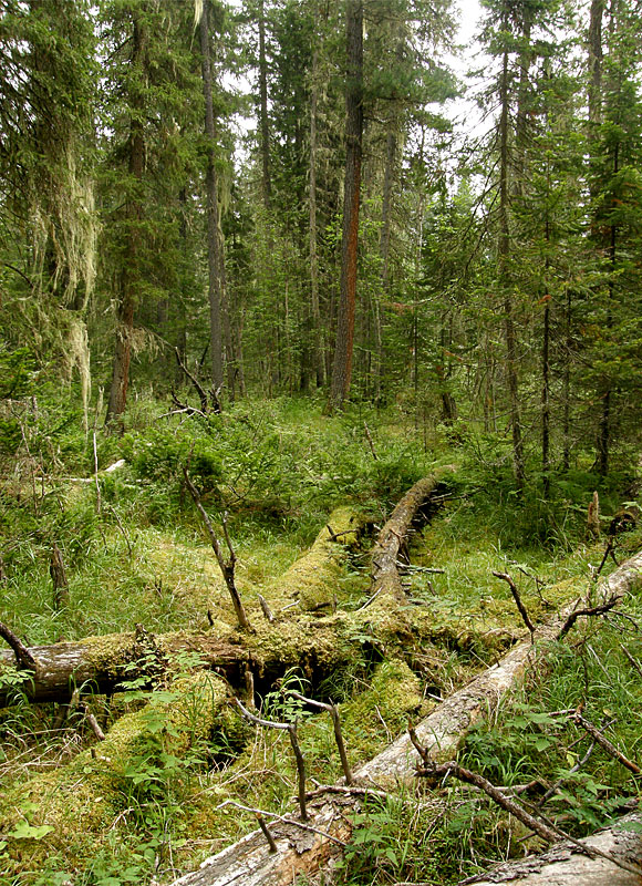 �������� �����