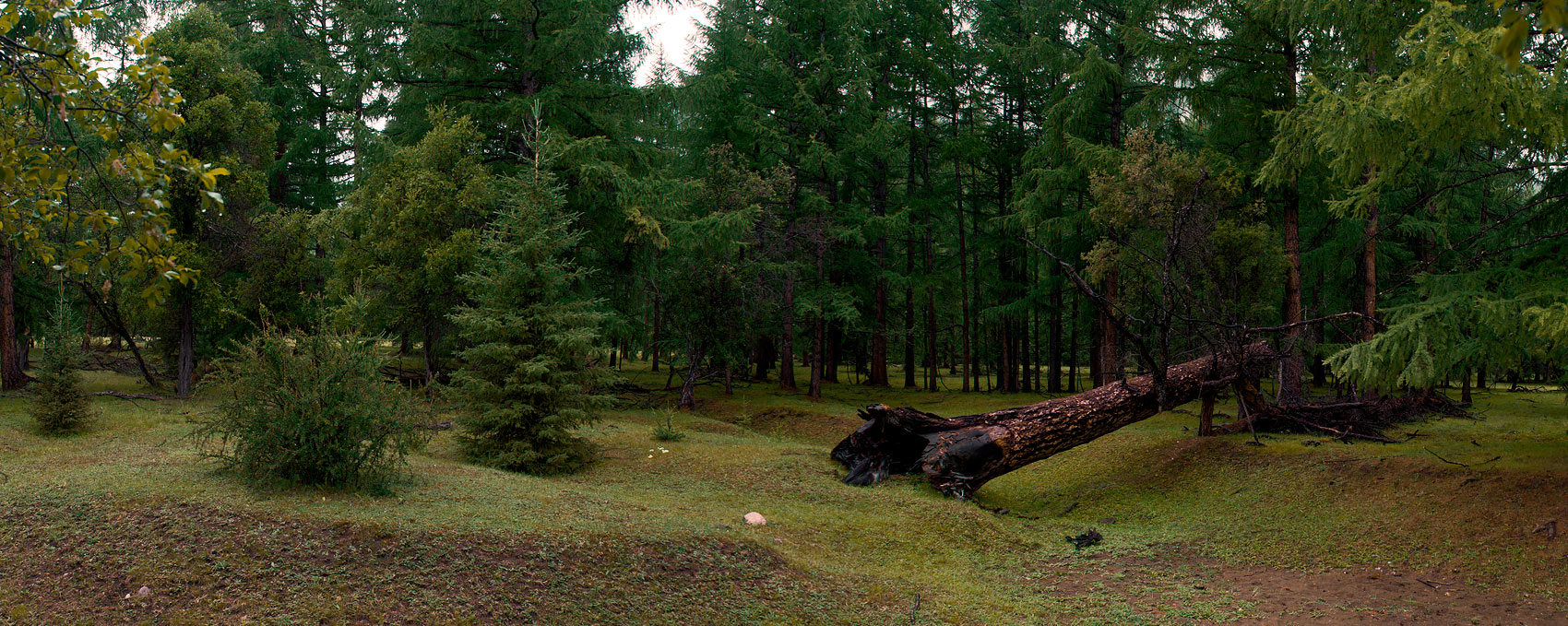 ������ ��� ��������...