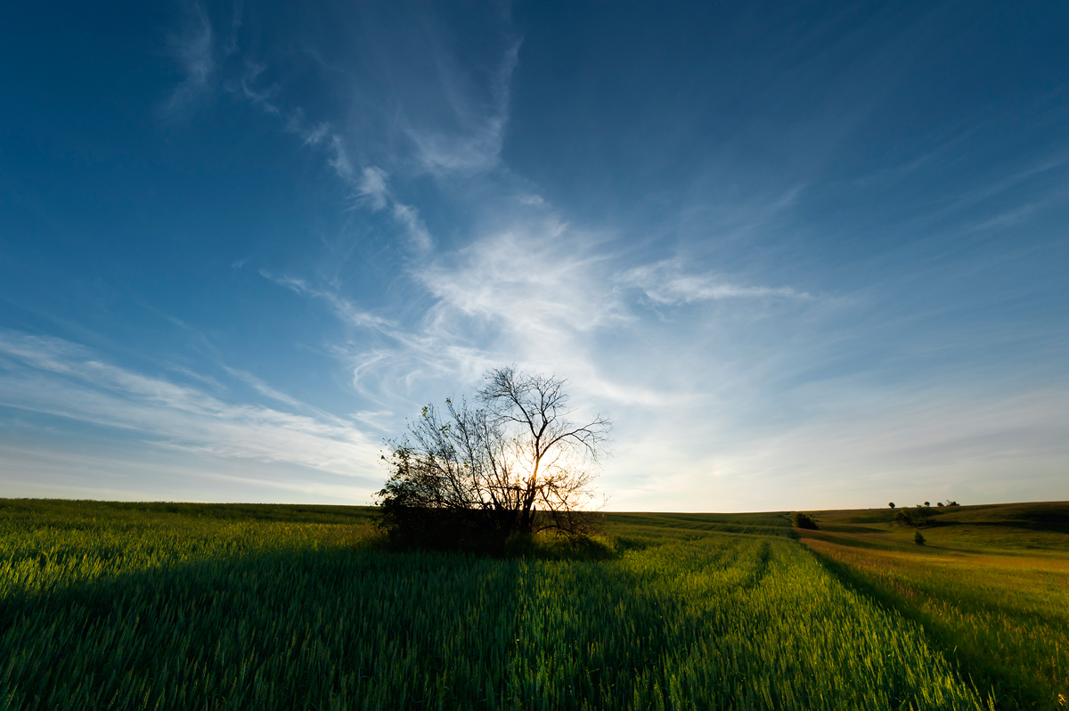 � ����� ��������� ������...