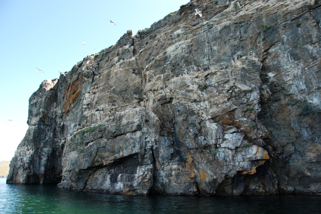 �������� �����