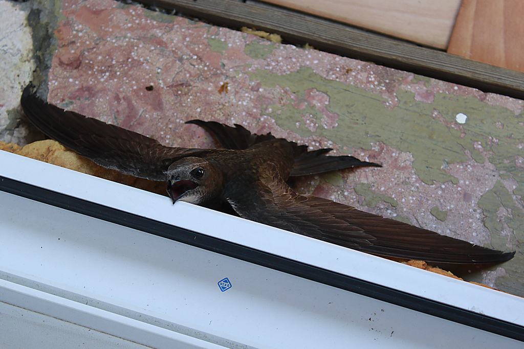 ��� �� �����?