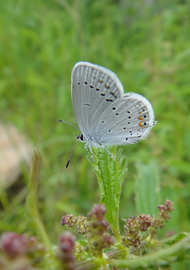 ��������� �� �������