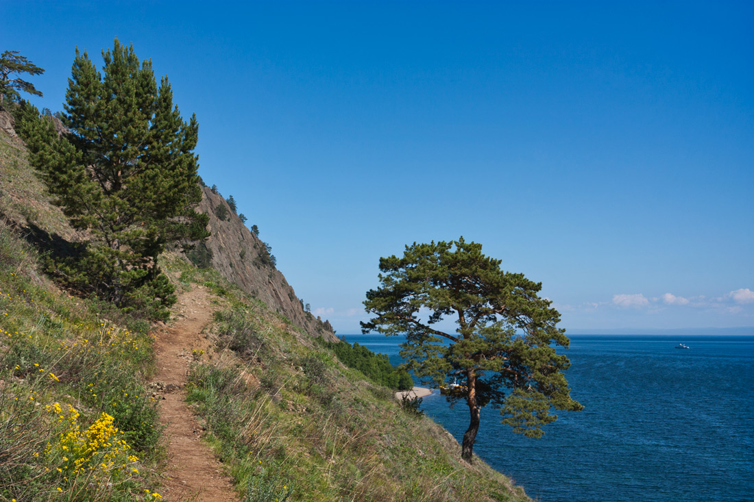 ������������ �������