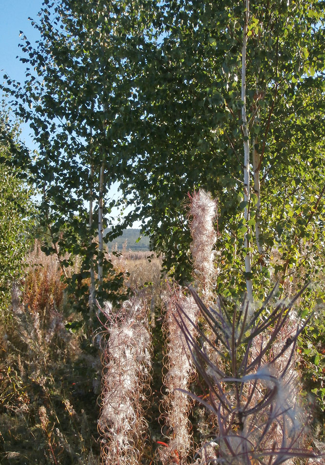 ���������� ����...