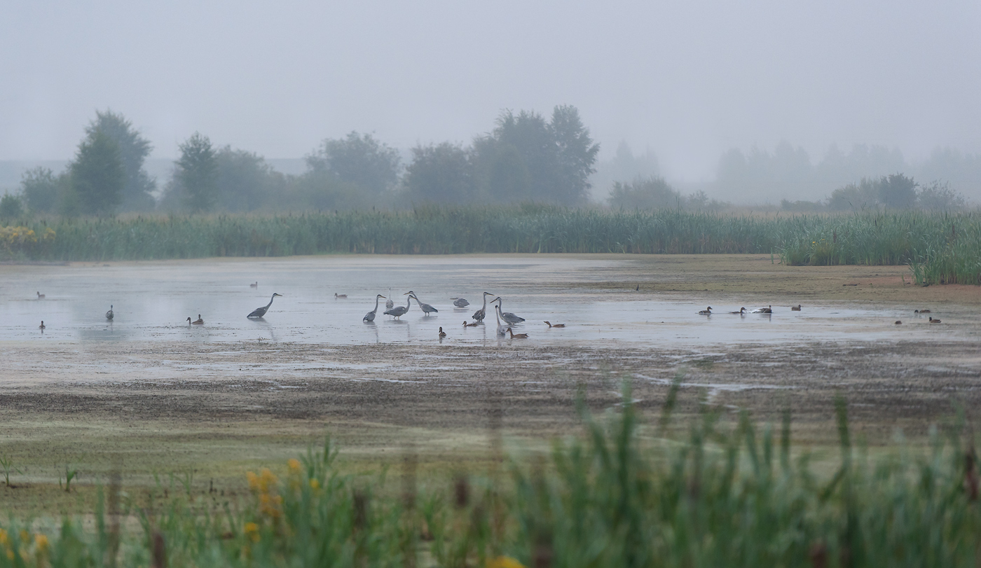 �� ������� 2