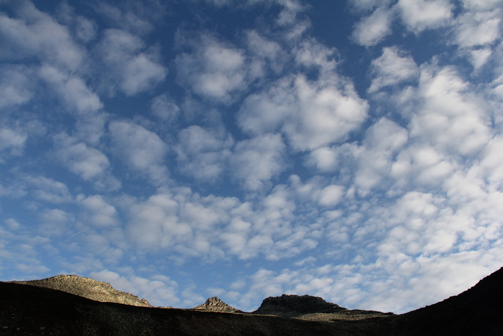 �������� ����