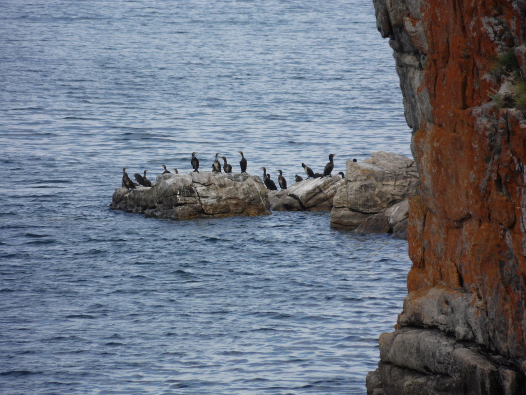 "� ����������� ����� �� ����� �������"