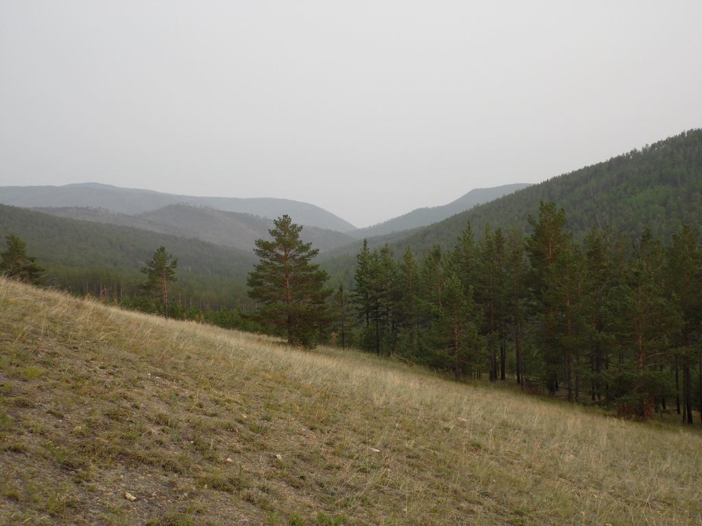 ��������, ����� ��� � ��������