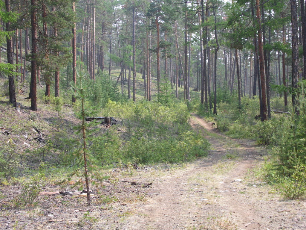 � �������� �������