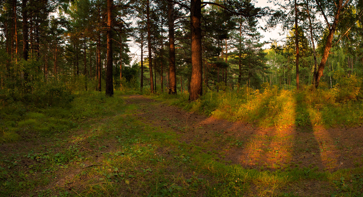 ������� � ����...