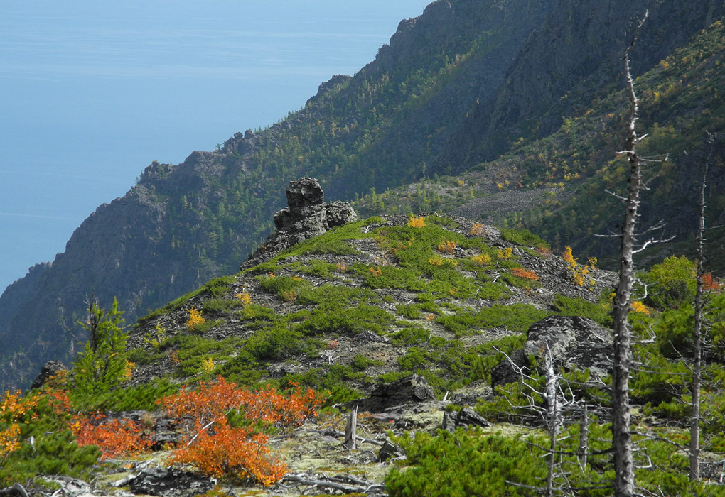 ����������