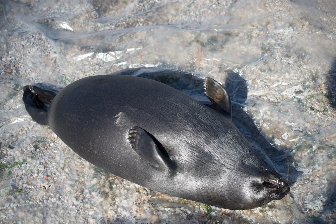 ����� �������� � ����