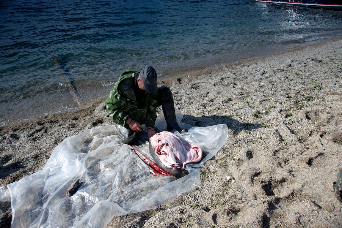 �������� �����