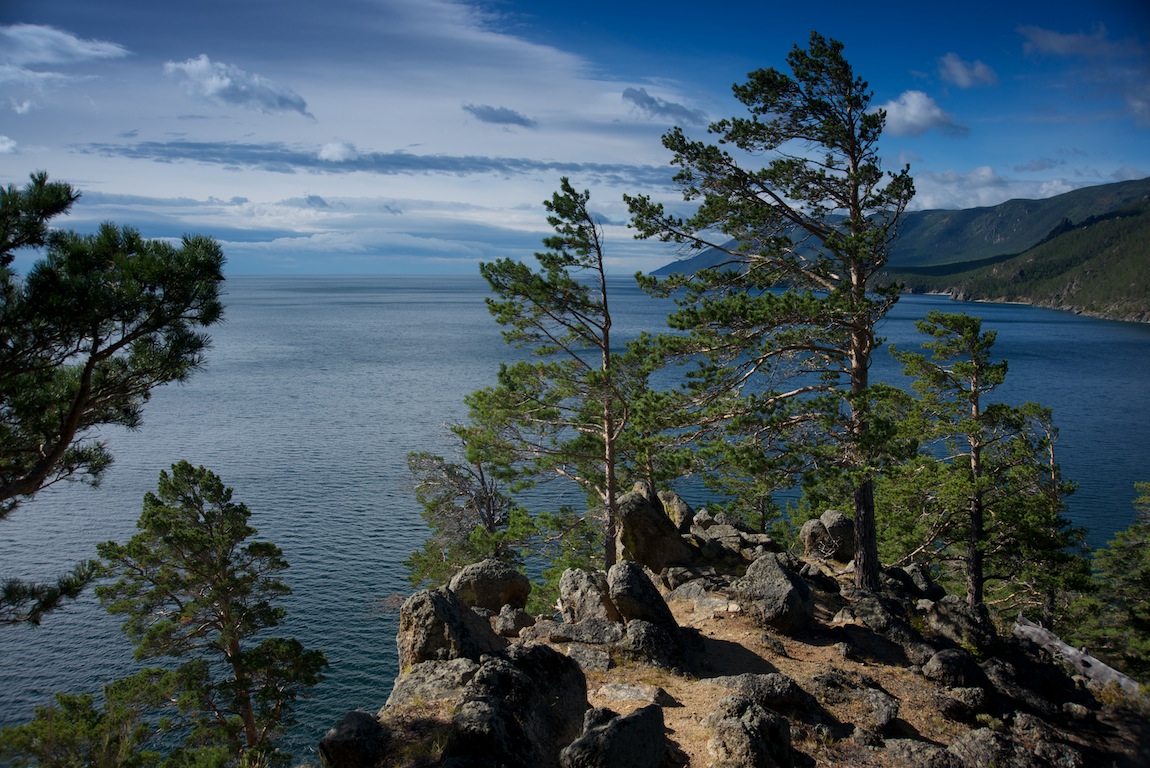 �� ���� ���� ������