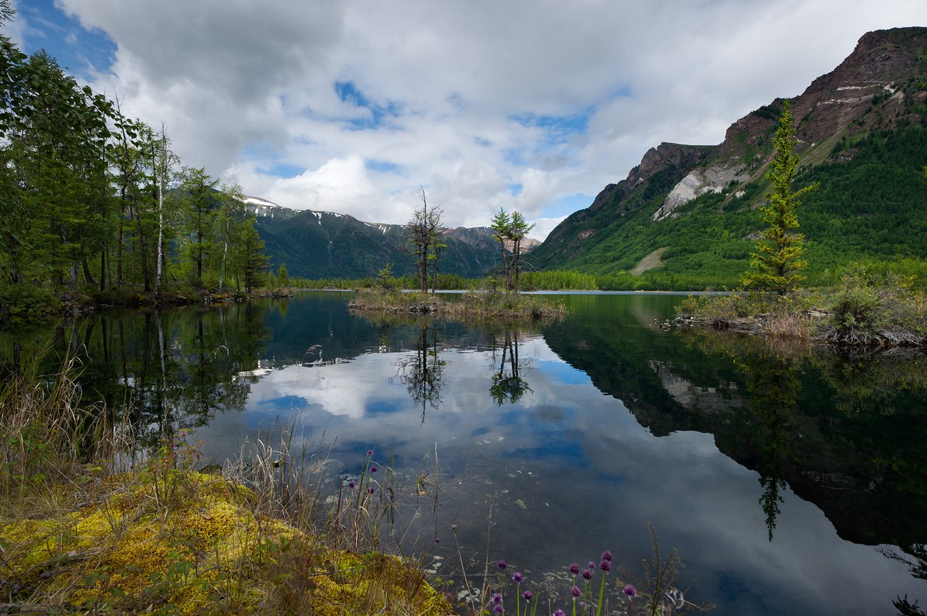 �� ����� ����-���...3