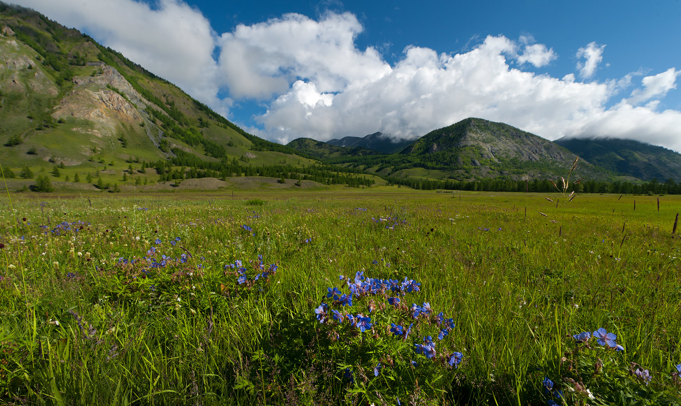 �� ����...