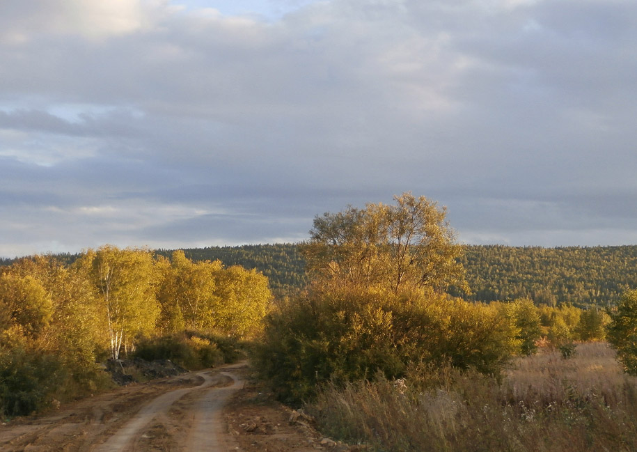 ������������ �����